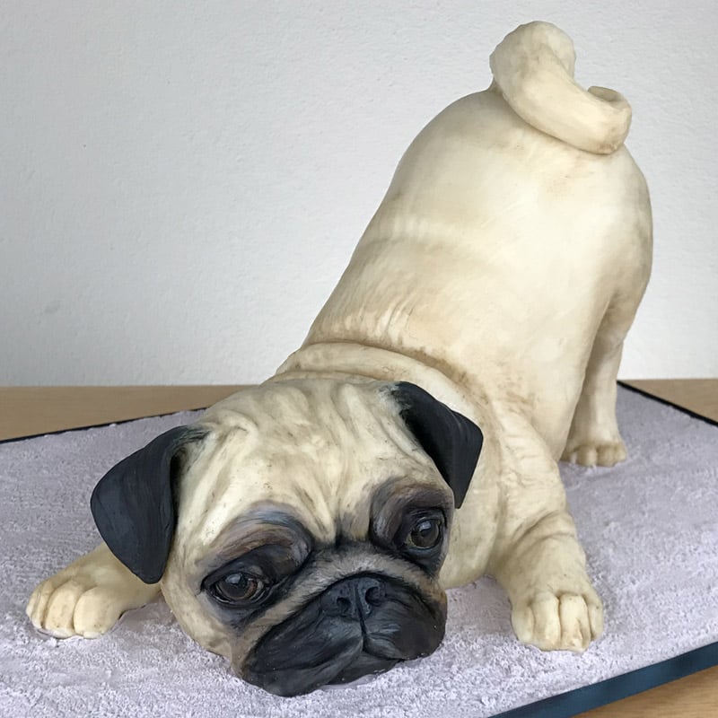 Pug Cake Tutorial – Sugar Geek Show