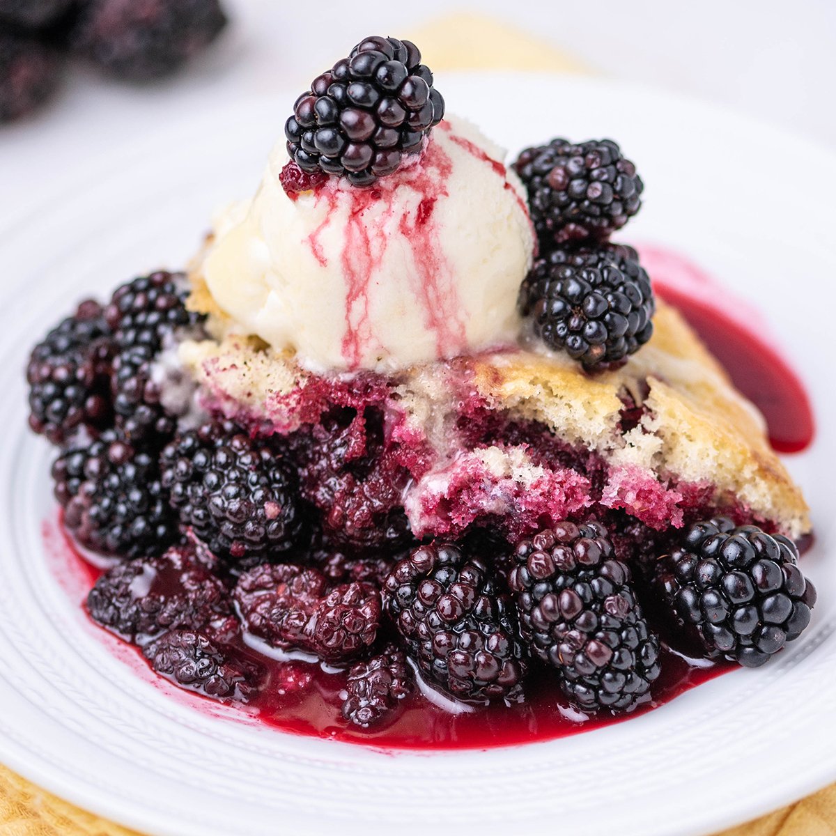 close up of blackberry sponge cake on a white plate