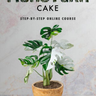 Cake sculpted to look like a variegated Monstera plant with an edible plant pot
