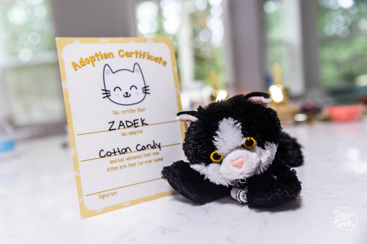 cat party adoption certificate printable