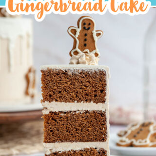 Graphic reads super moist, homemade gingerbread cake