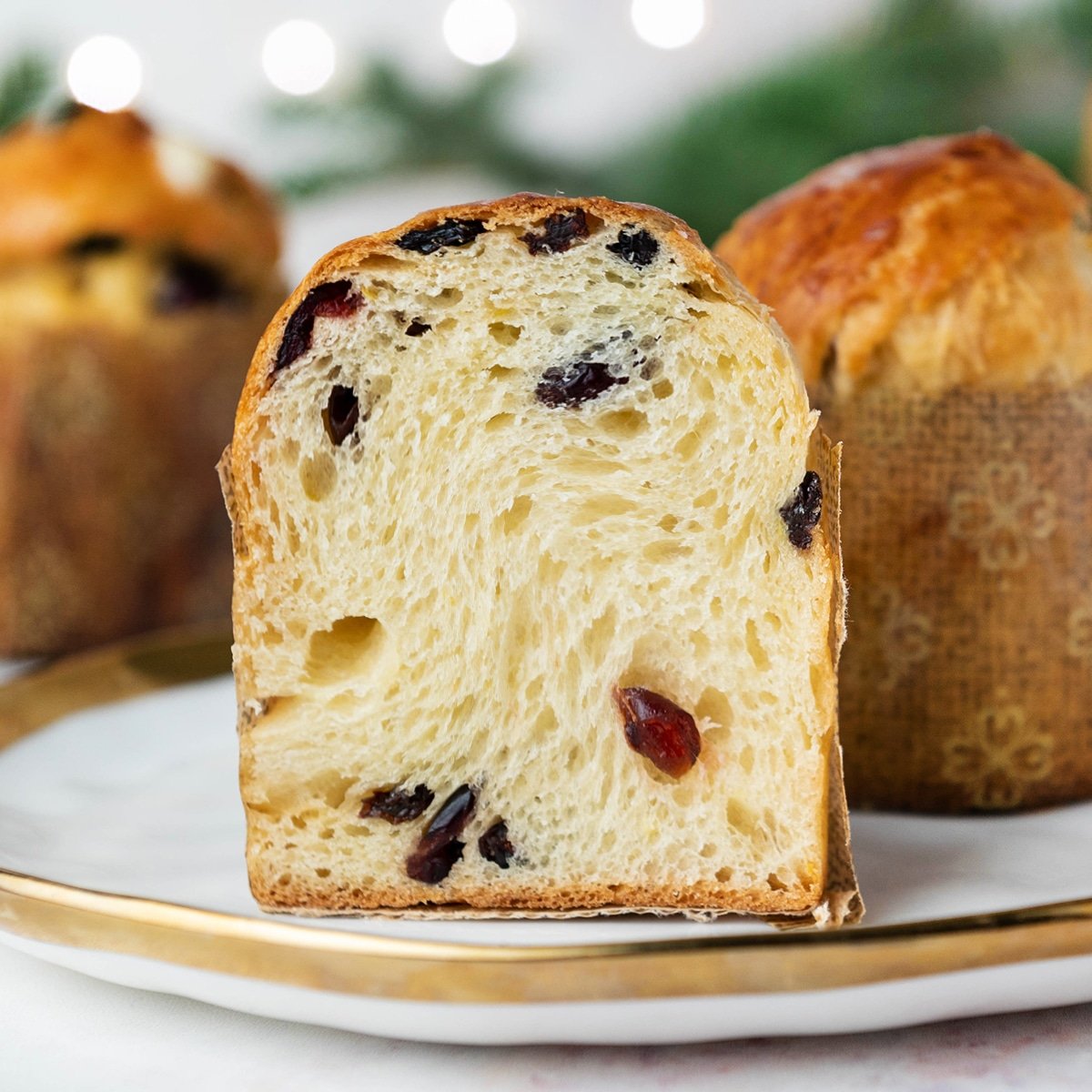 closeup of panettone