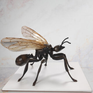 Chocolate sculpted to look like a giant ant with gelatin wings