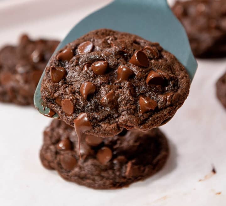 Chewy Chewy Double Chocolate Chip Cookies – Sugar Geek Show