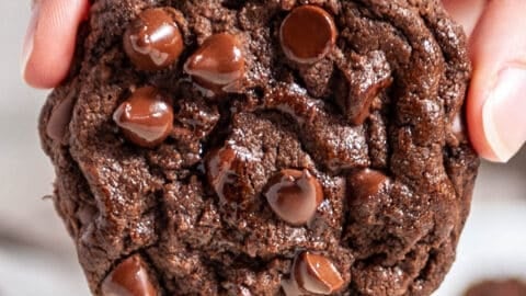 close up shot of double chocolate chip cookie