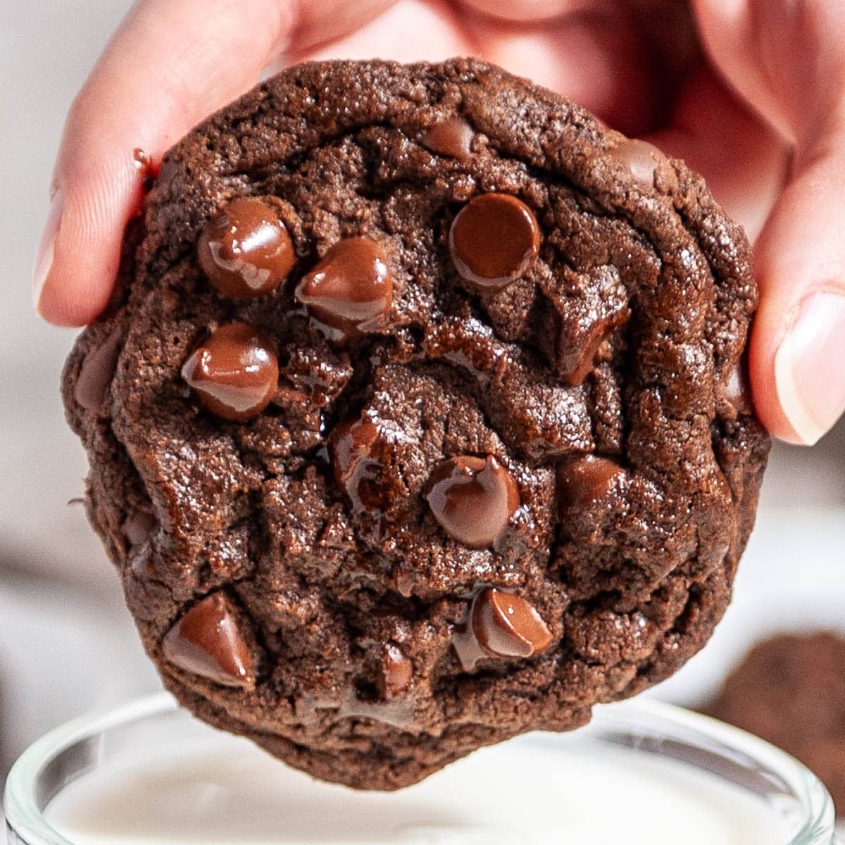 close up shot of double chocolate chip cookie