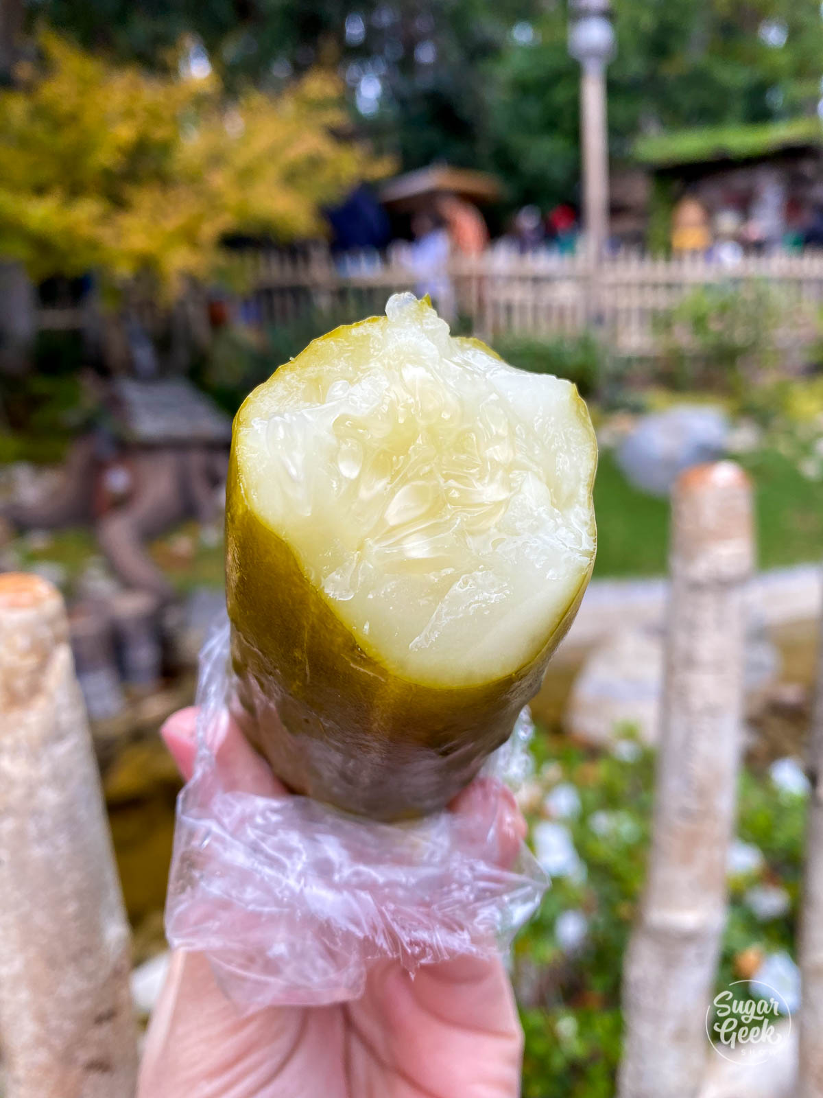 close up of disneyland giant pickle