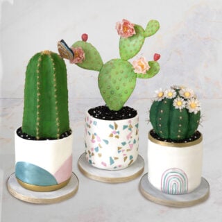 three cakes sculpted to look like realistic cacti in plant pots