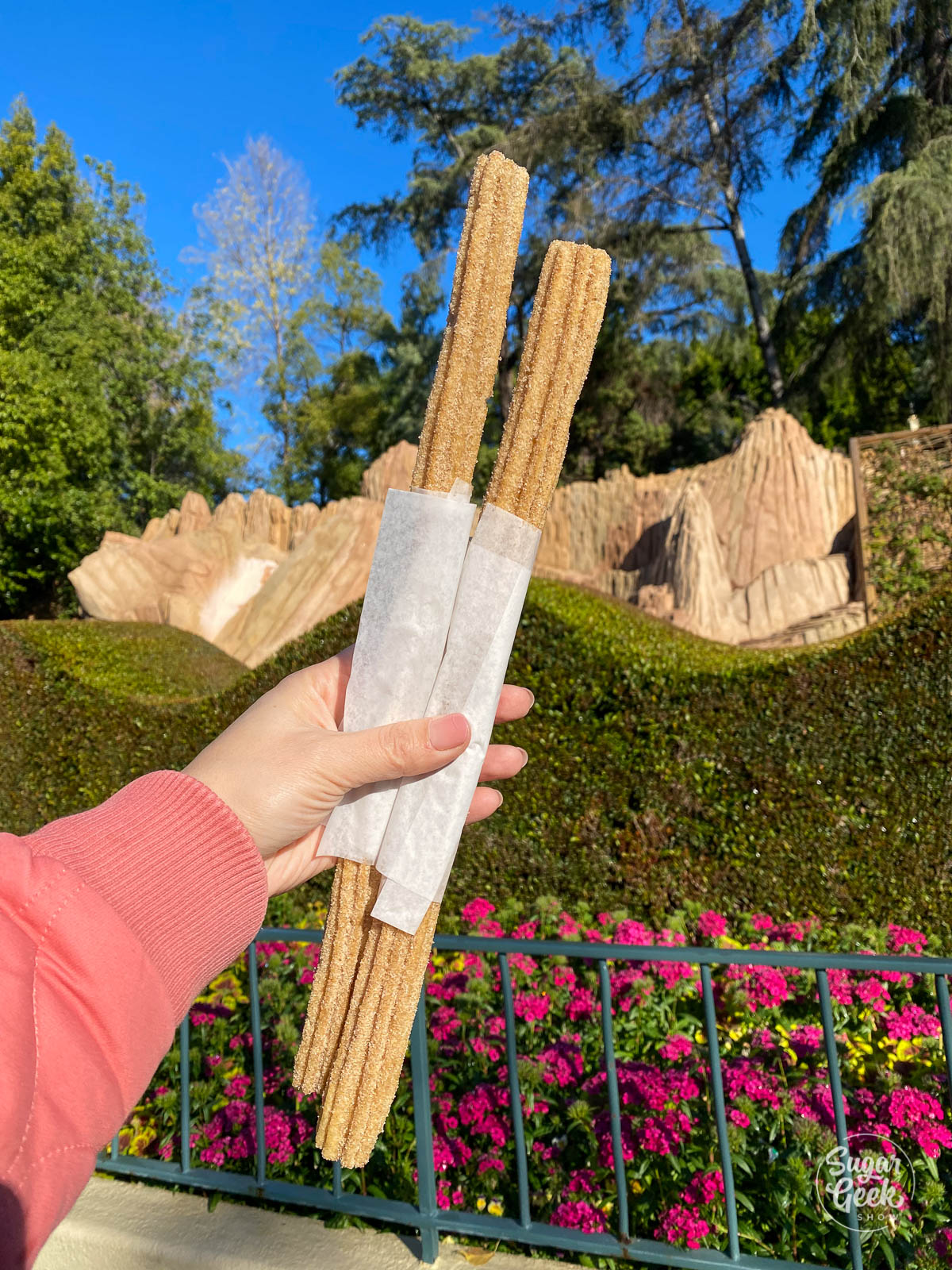 close up of two churros being held by a hand