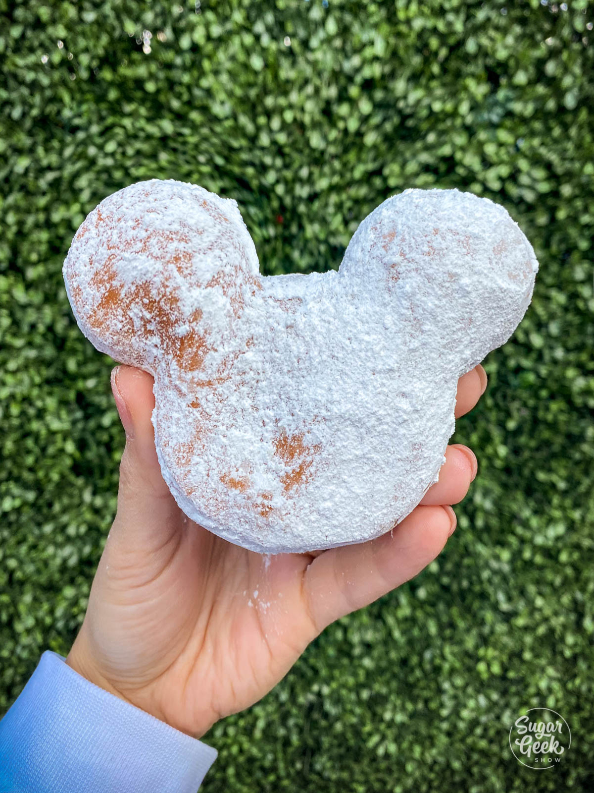 hand holding mickey beignet 