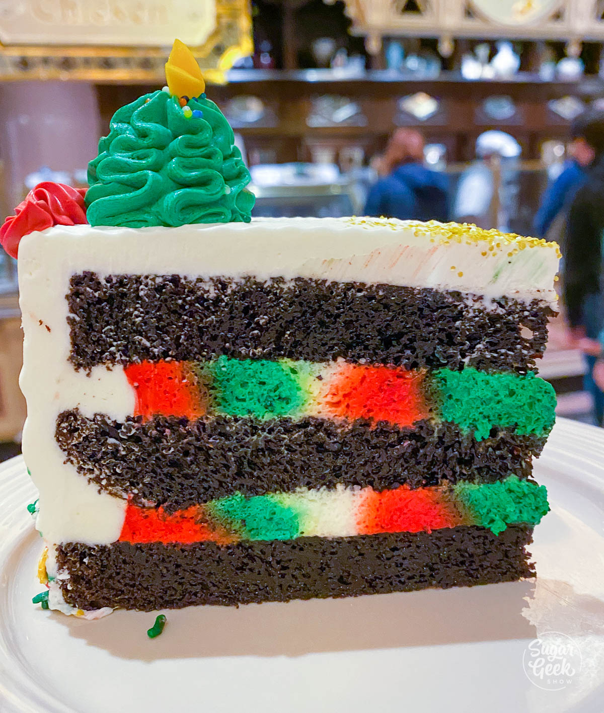 close up of chocolate cake from plaza inn