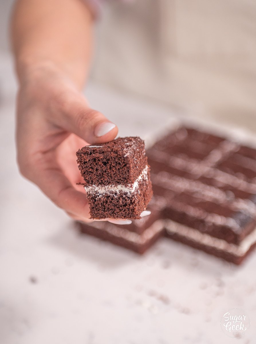 hand holding up a chocolate mini cake