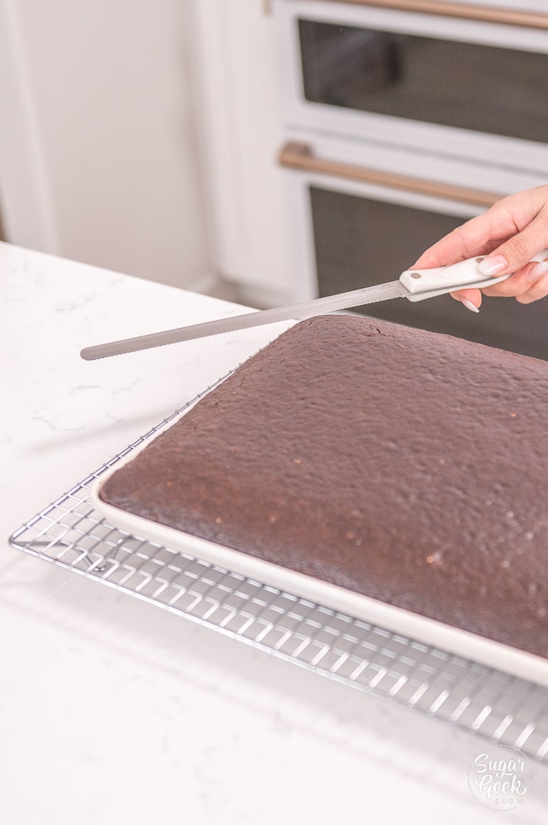 hand holding a bread knife next to chocolate cake
