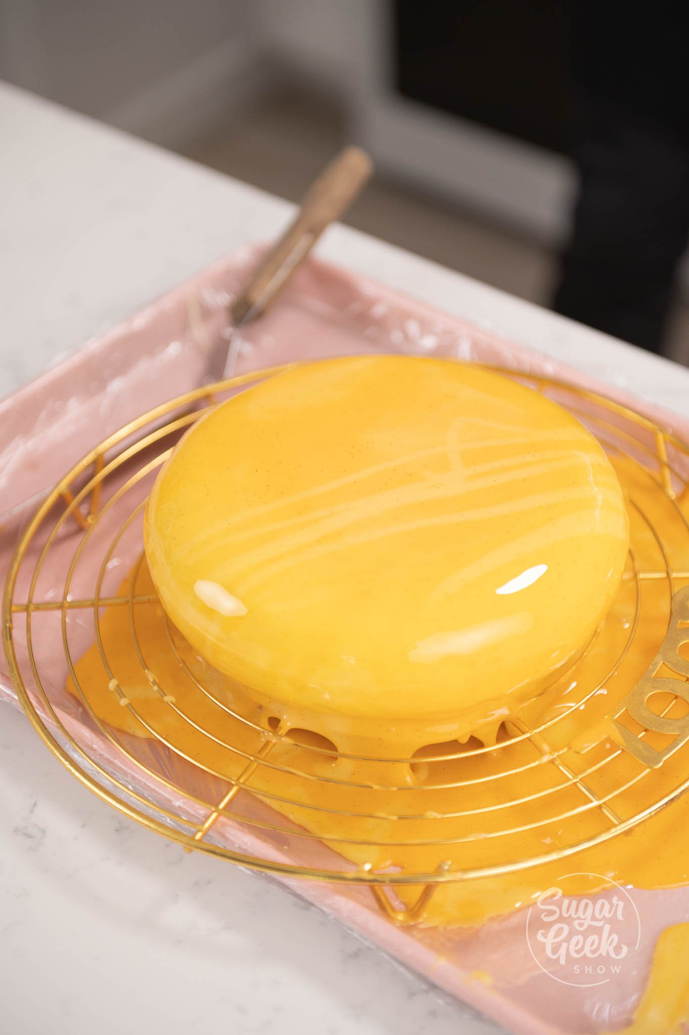 picture of glazed entremet.