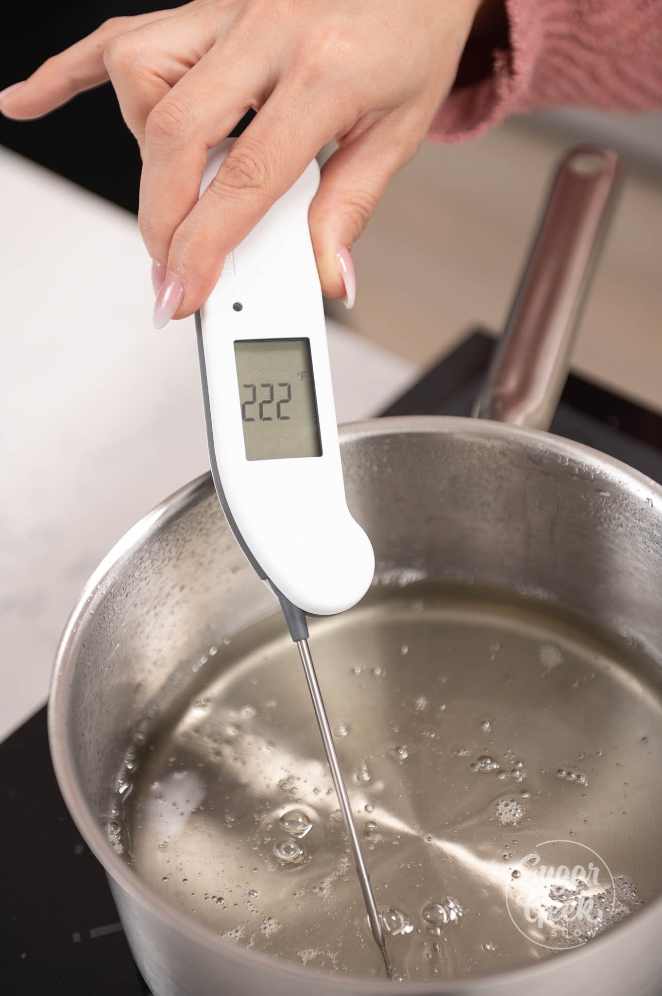 hand holding thermometer over pot.
