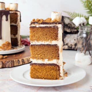 close up of a slice of s'mores cake