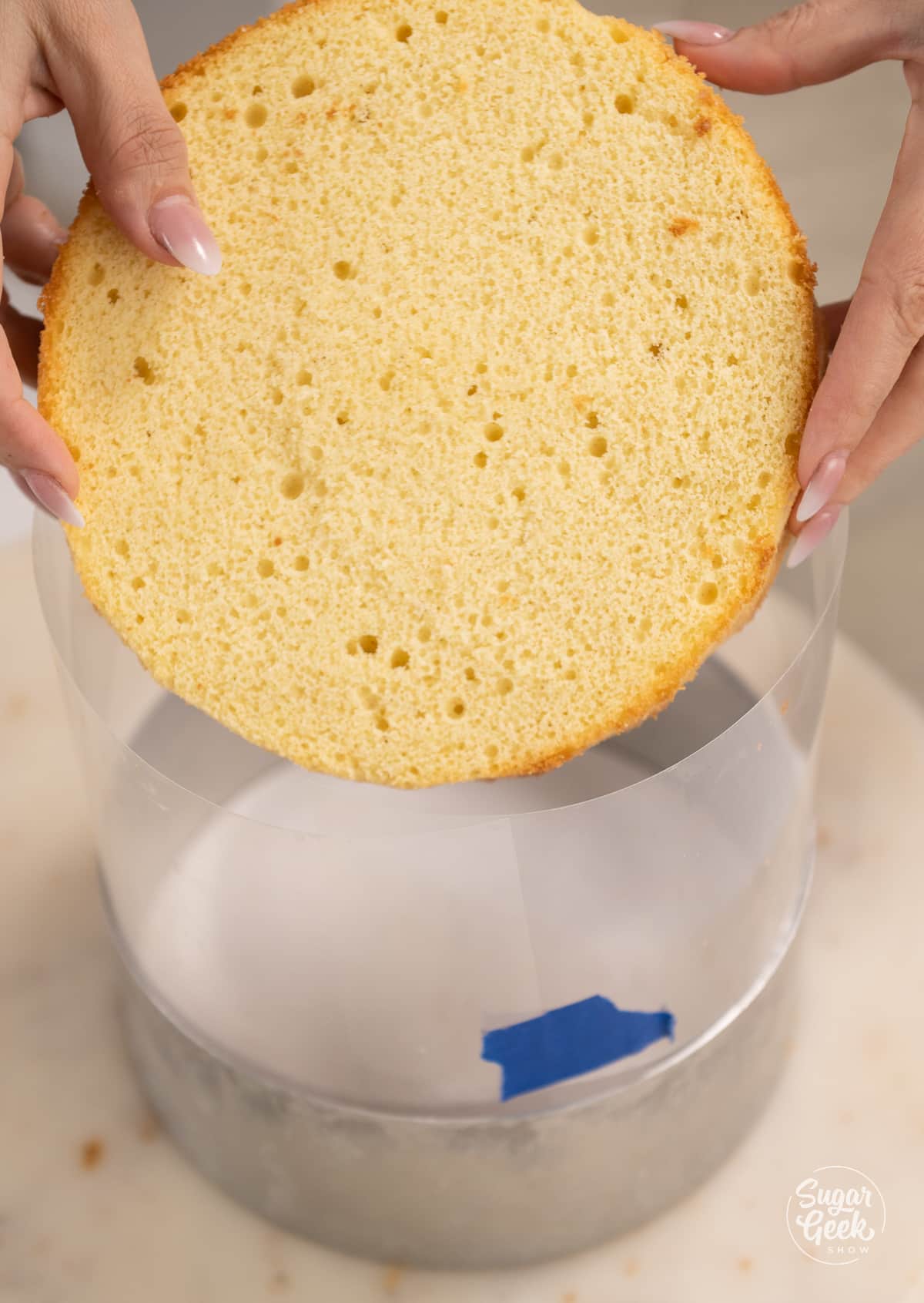 hands placing cake layer into a cake ring lined with an acetate sheet.