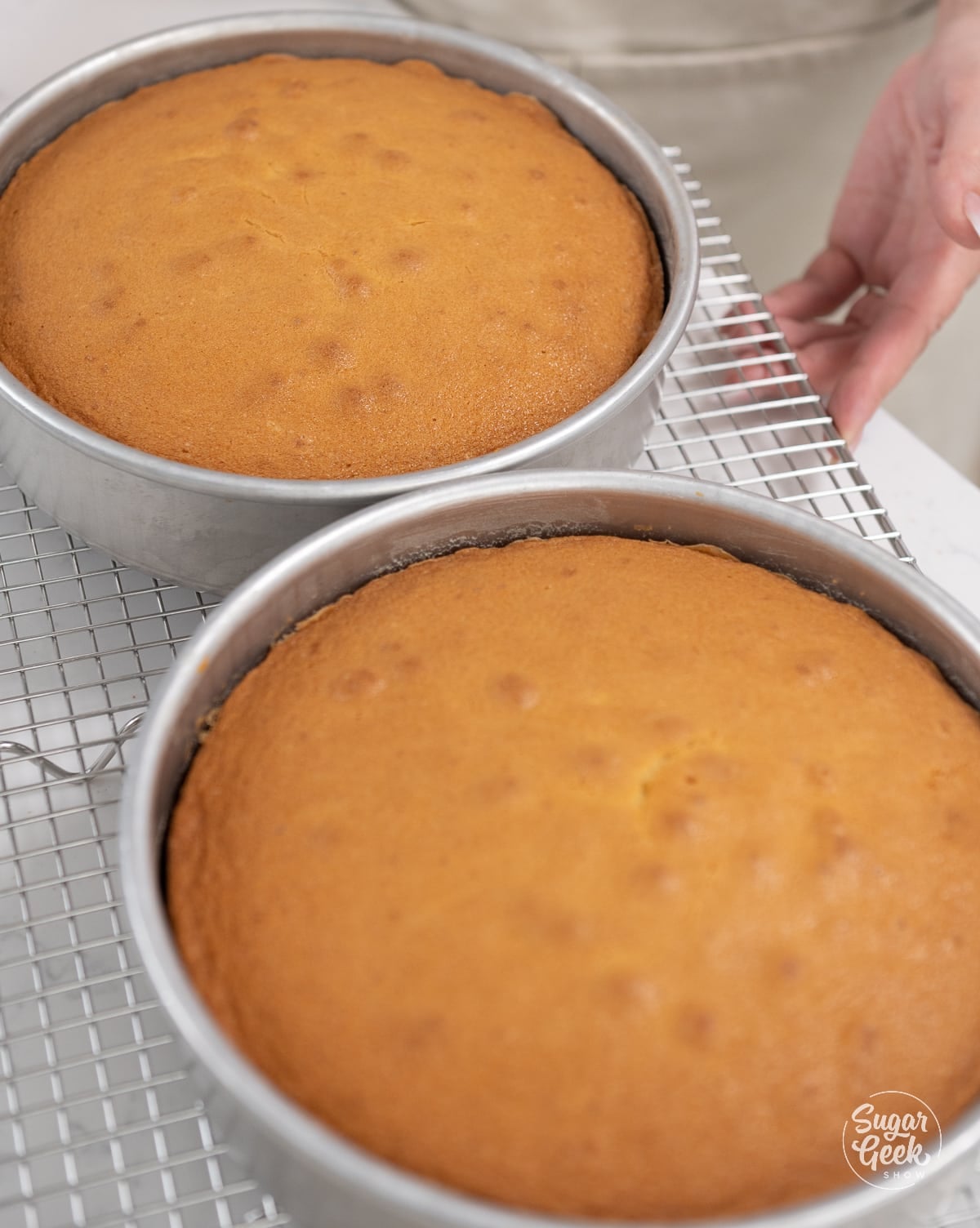 finished yellow cake layers in baking pans.