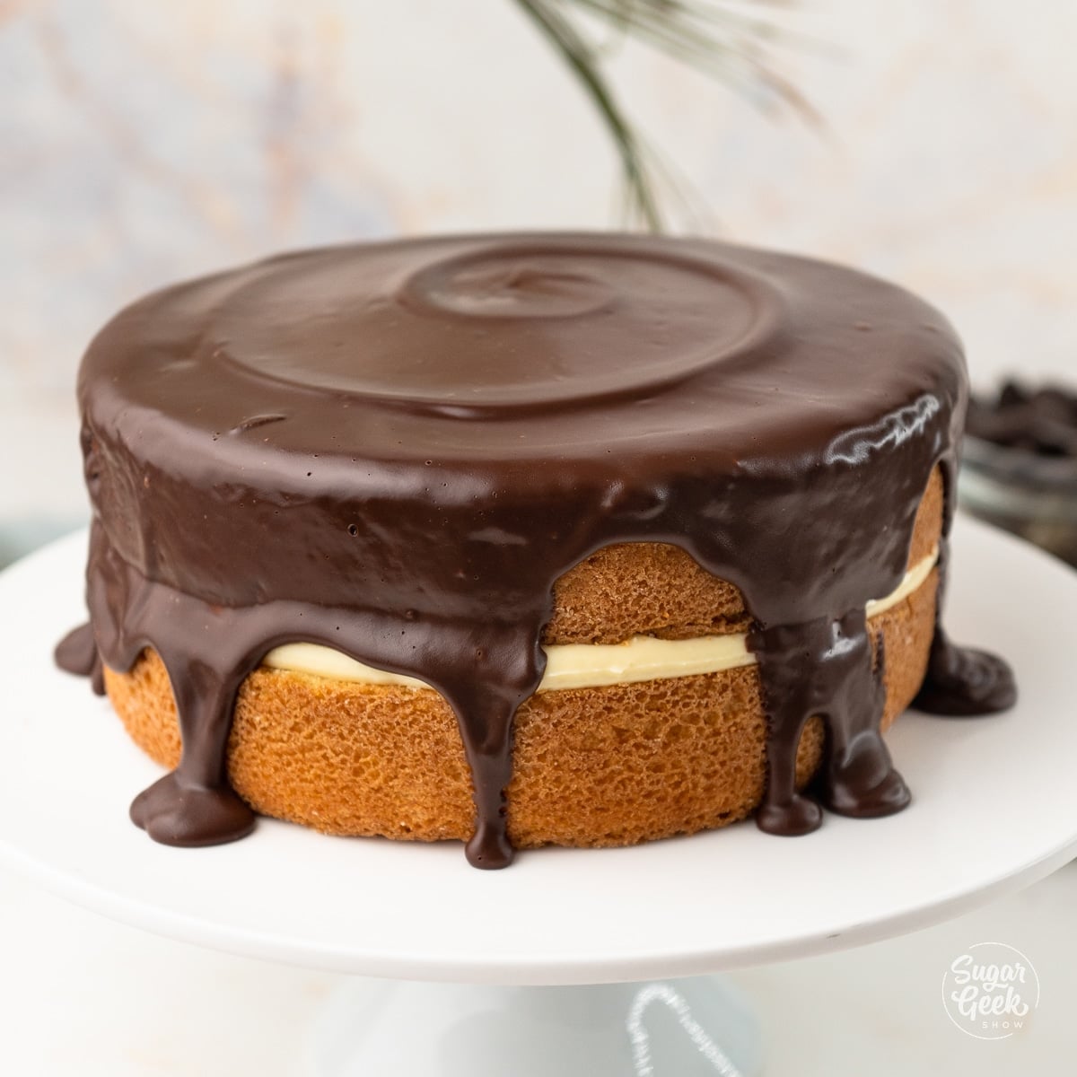 Photo of Boston cream pie on a white platter.