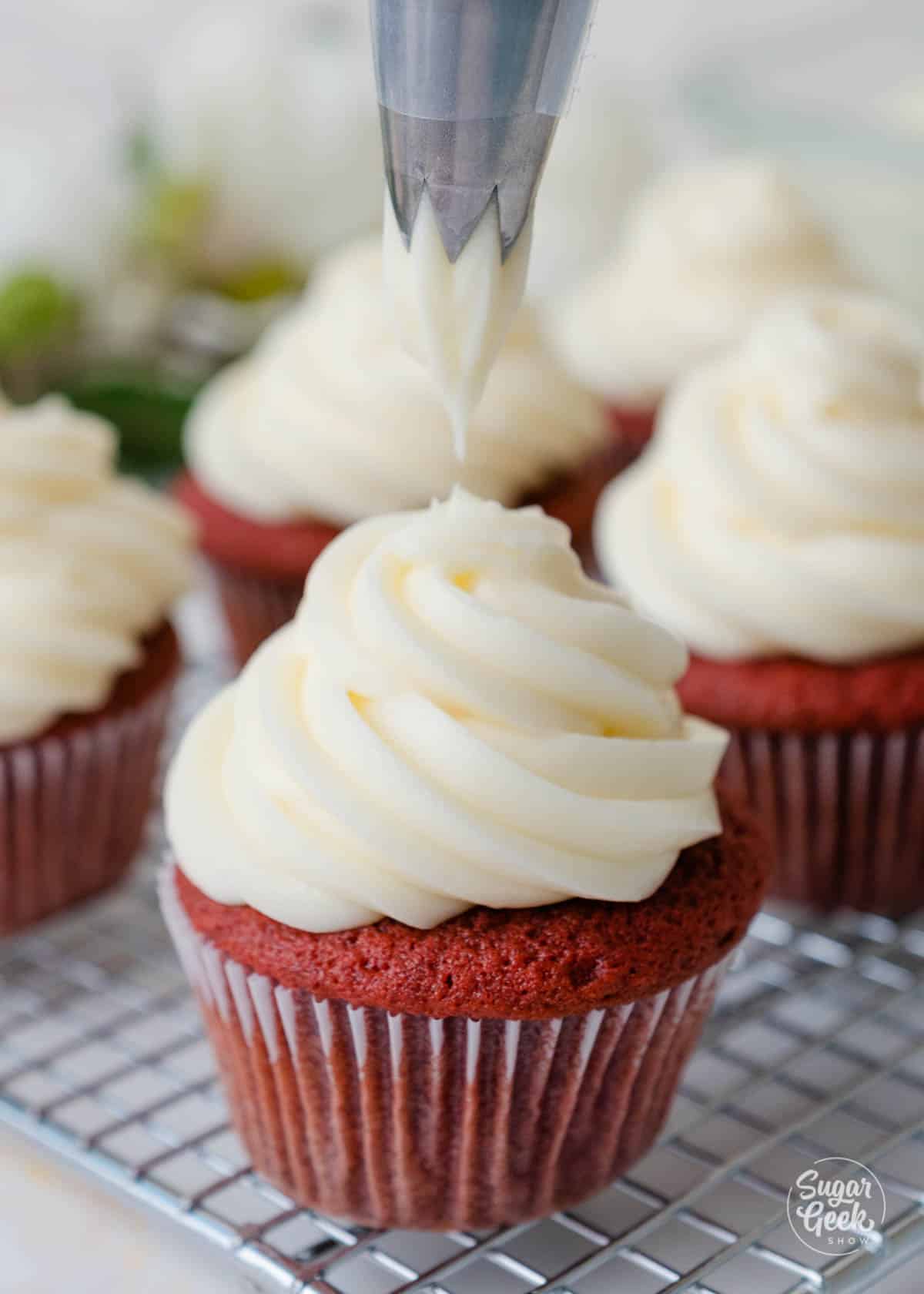 piping cream cheese frosting on a red velvet cupcake. 