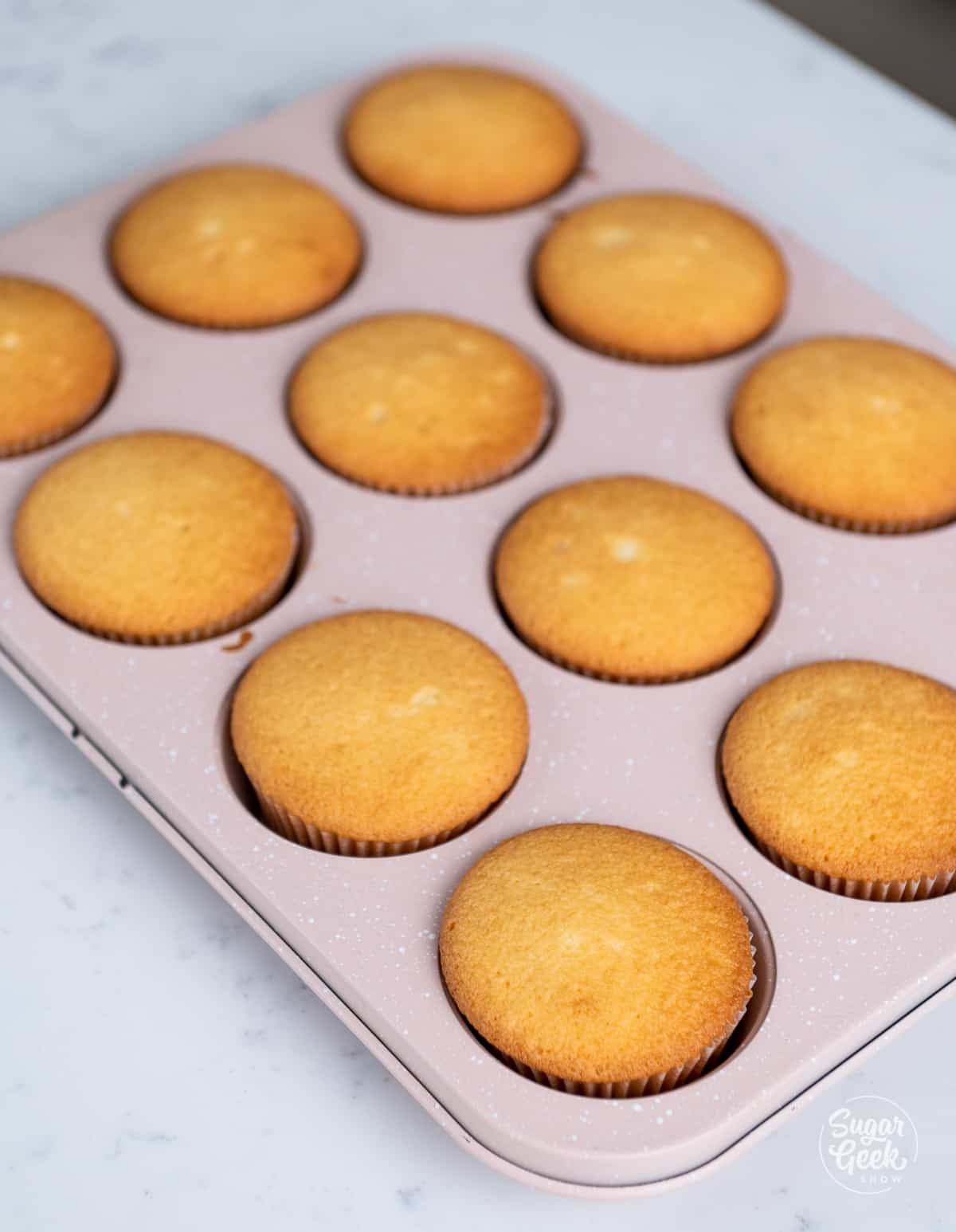 finished baked vanilla cupcakes in the cupcake pan.