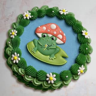 Cake with royal icing transfer of a frog on lily pad