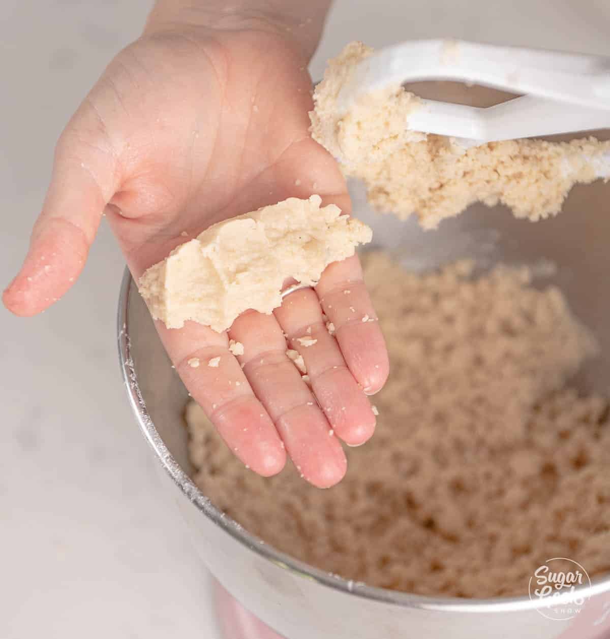 hand showing what the almond flour mixture should look like. 