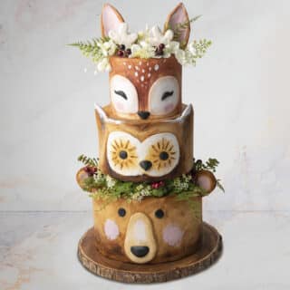 Cake decorated to look like bear, owl and deer faces