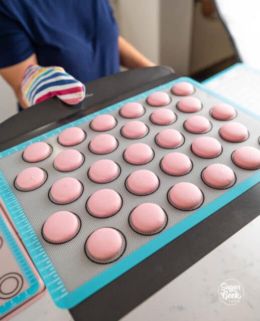 Italian Macaron Recipe – Sugar Geek Show