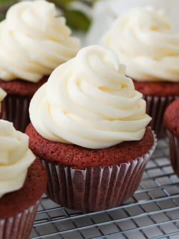 cream cheese frosting on red velvet cupcakes