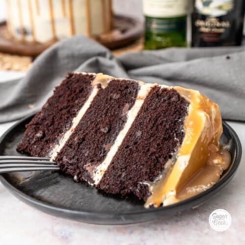 The Best Baileys Irish Cream Cake Recipe Sugar Geek Show 9326