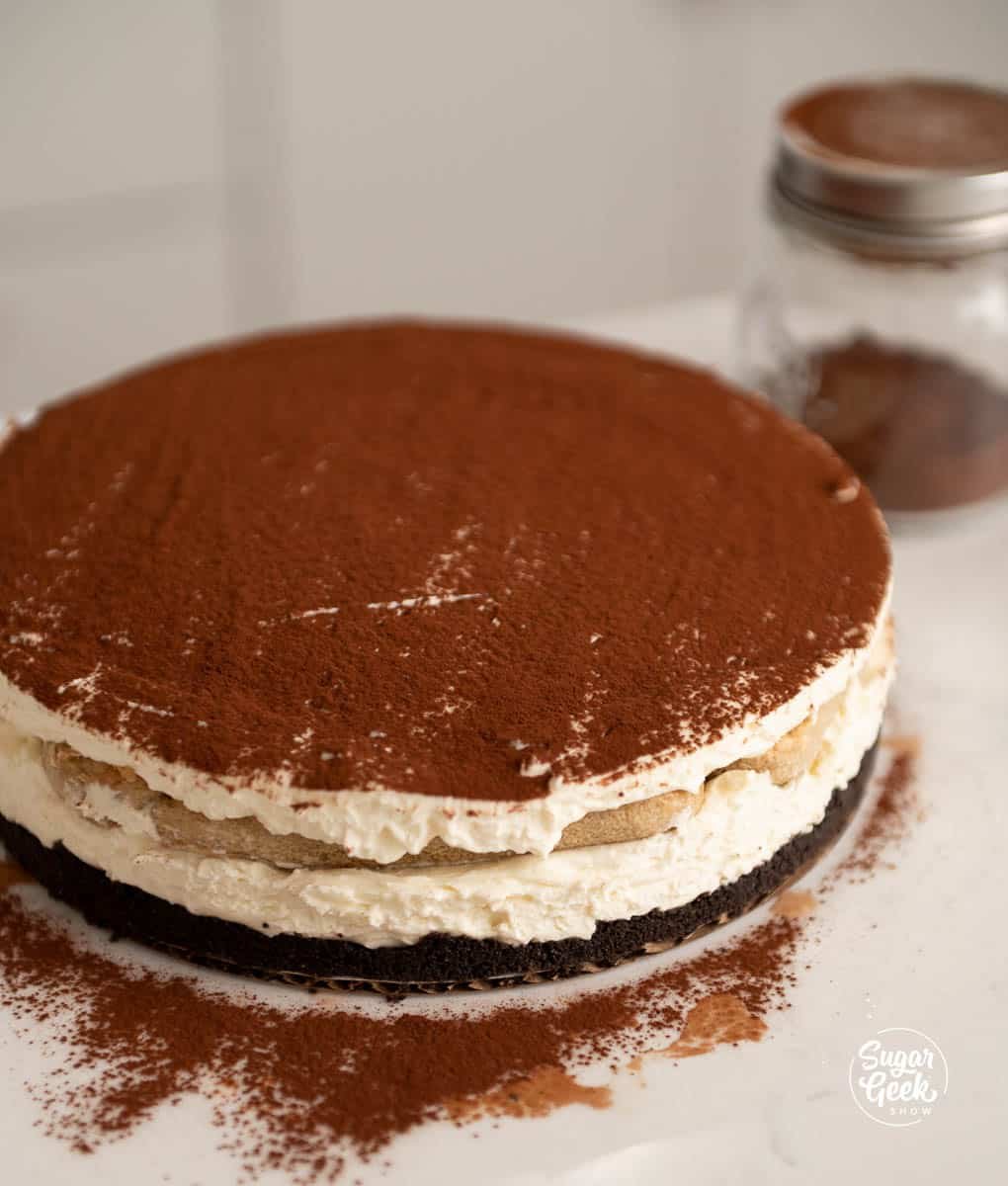 tiramisu cheesecake with cocoa powder on top