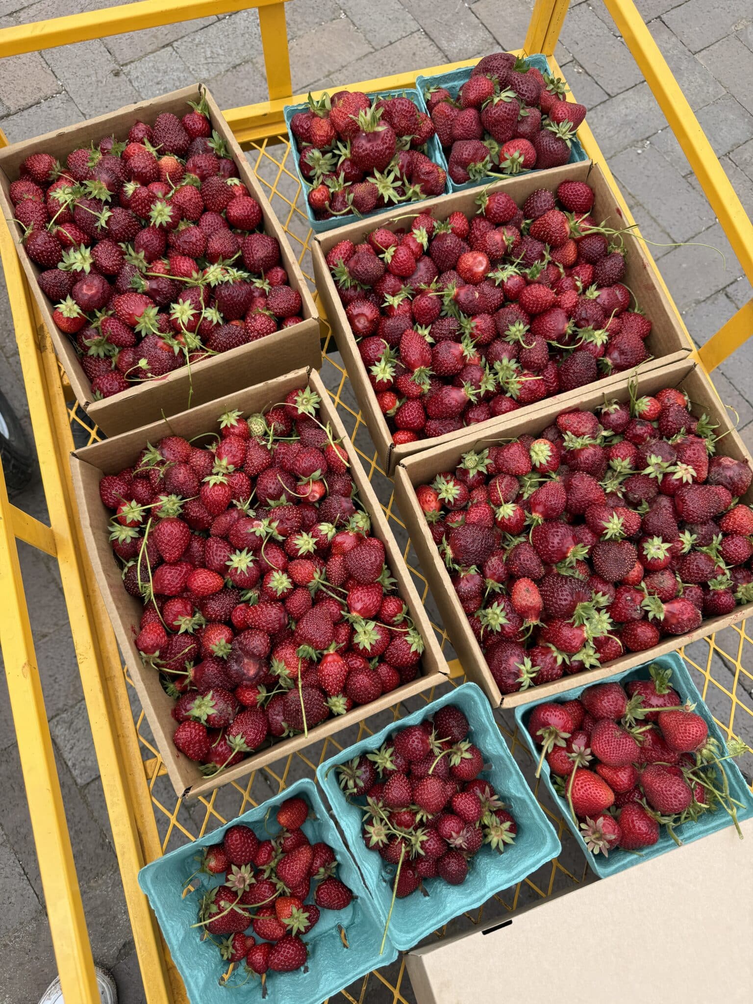 strawberries in cardboard boxes shot from overhead