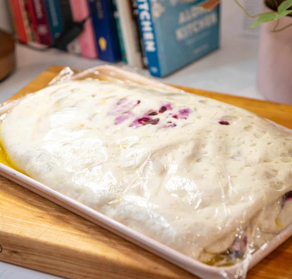 lemon blueberry sourdough focaccia on a pan covered with plastic wrap