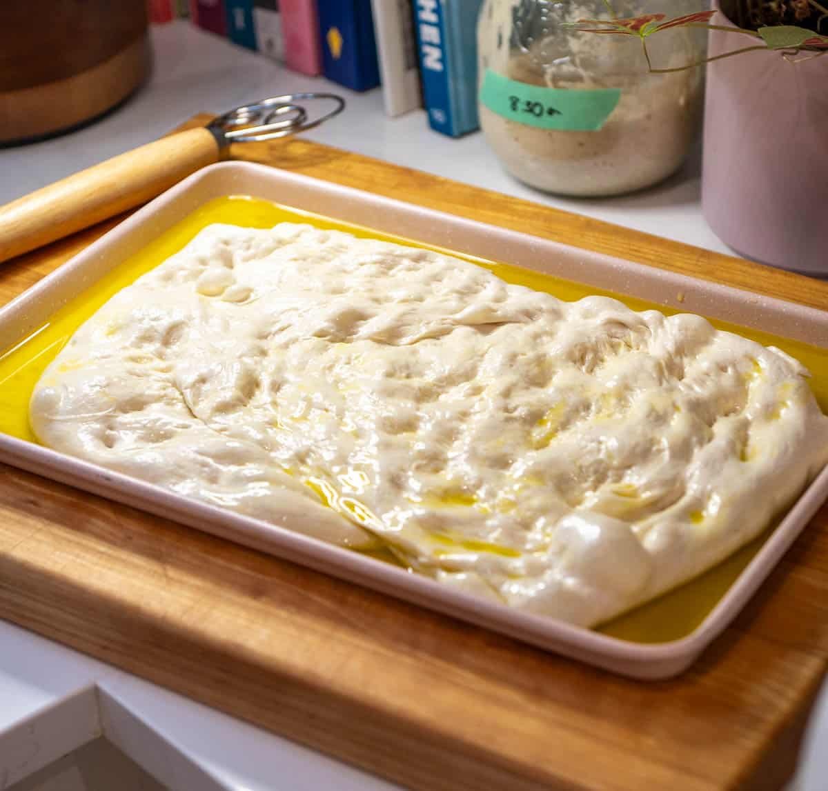 sourdough focaccia dough on a sheet pan