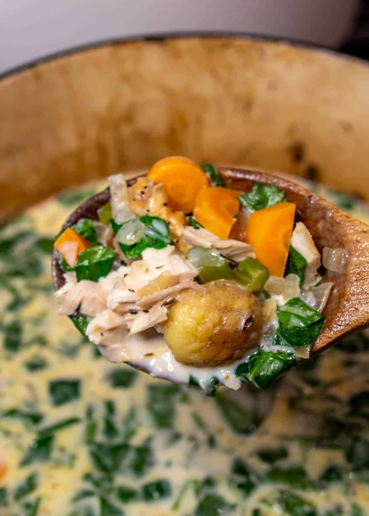 Chicken added and stirred in for the finished soup.