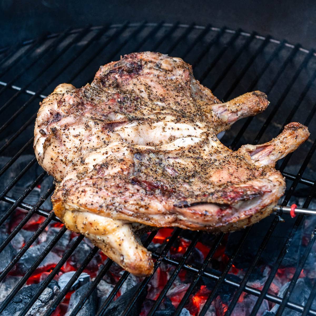 A whole chicken cooking on a grill.