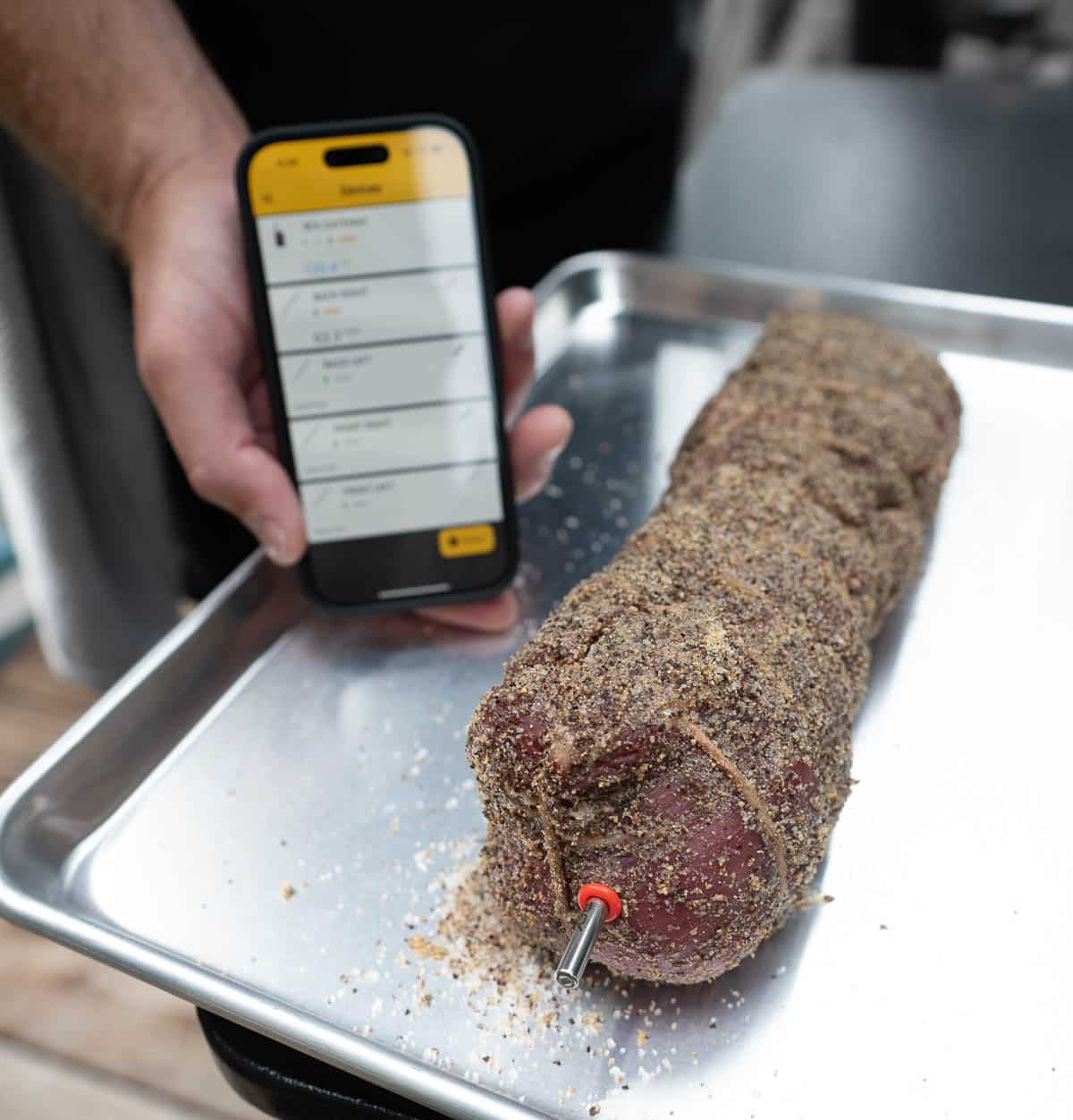 The whole, raw beef tenderloin, full seasoned on a baking sheet with a meat thermometer inserted on the front end with a hand holding the smart phone showing the thermometer app.