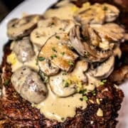 closeup of mushroom cream sauce on a steak