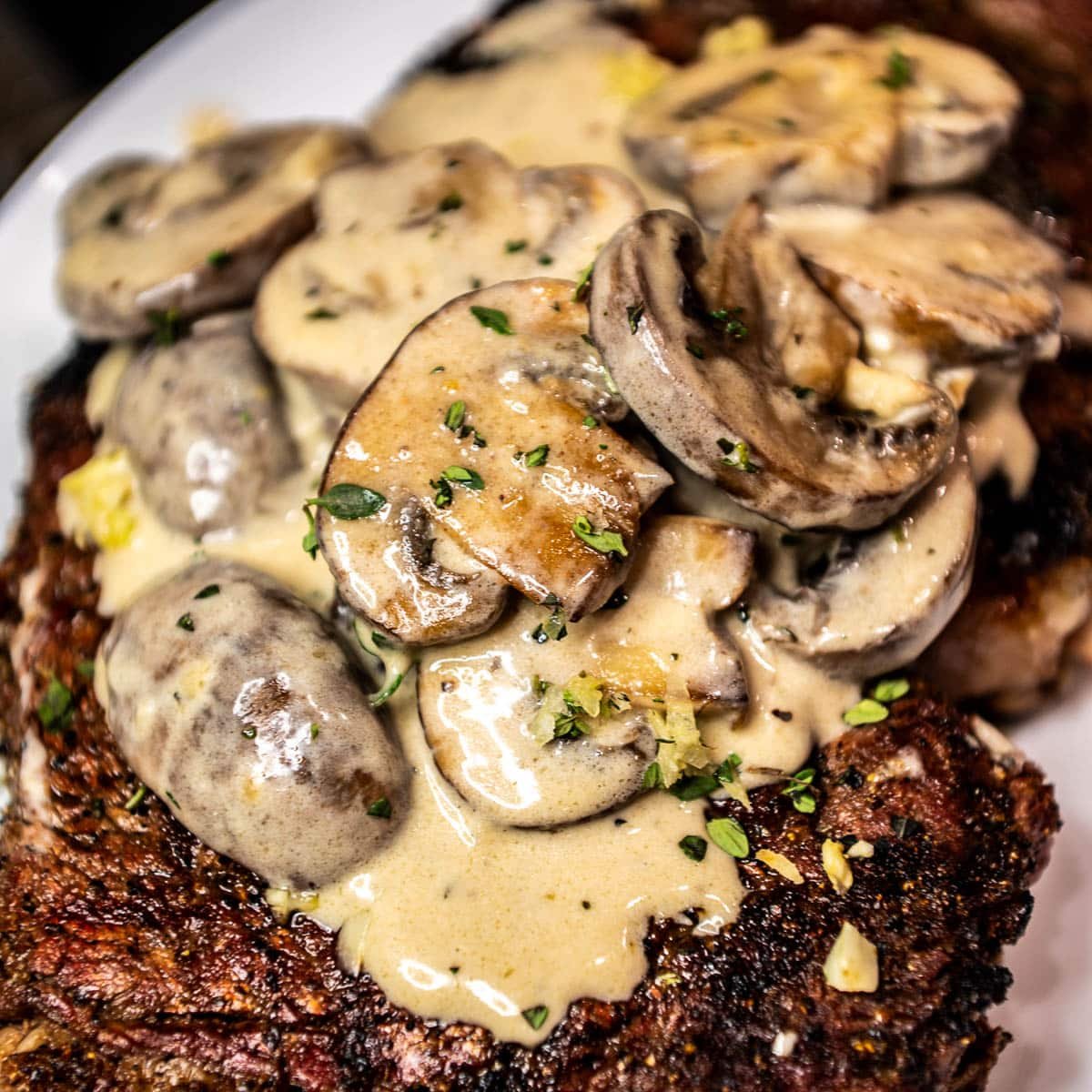closeup of mushroom cream sauce on a steak