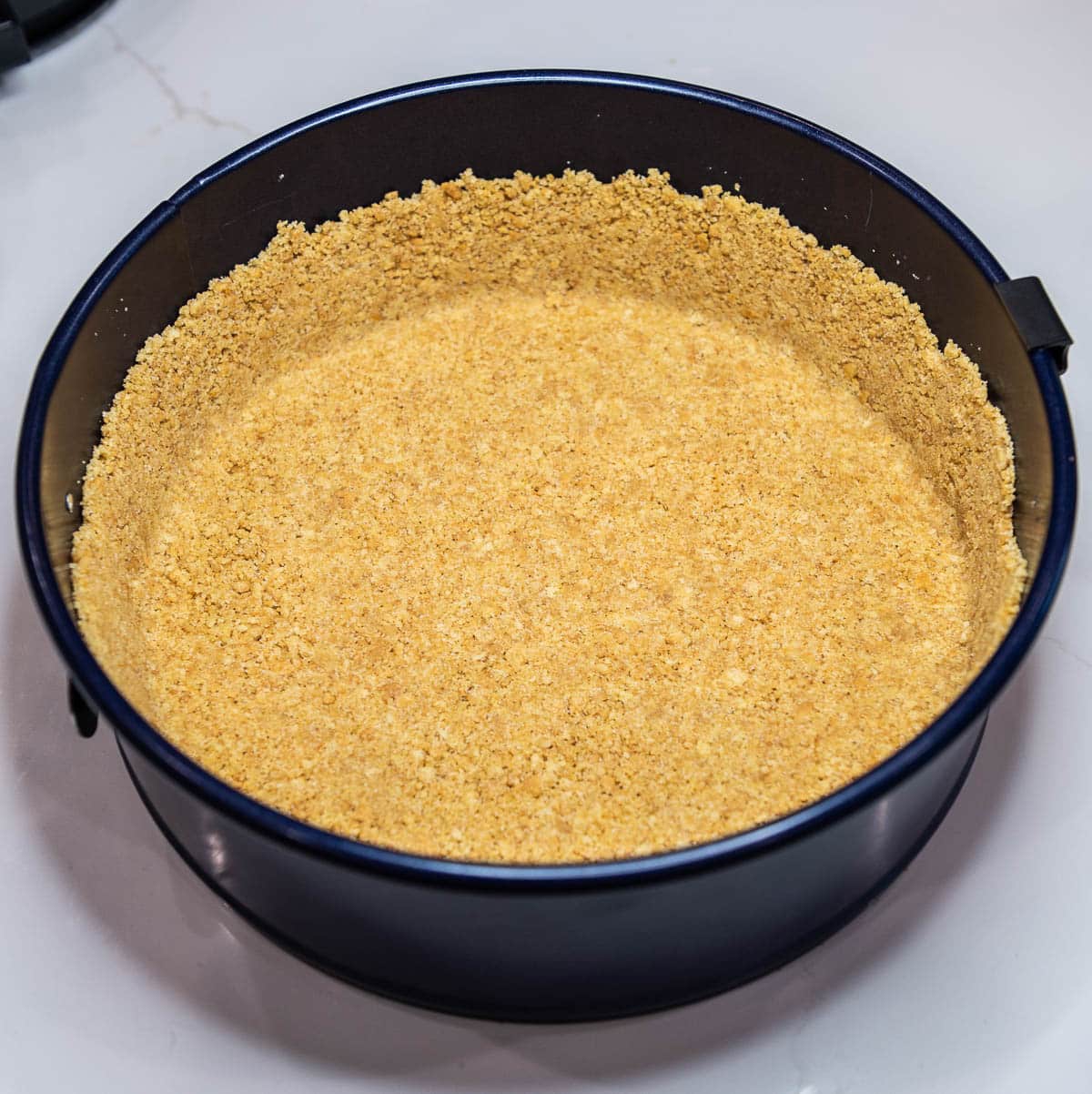 Graham cracker crust pressed into spring-form pan. 