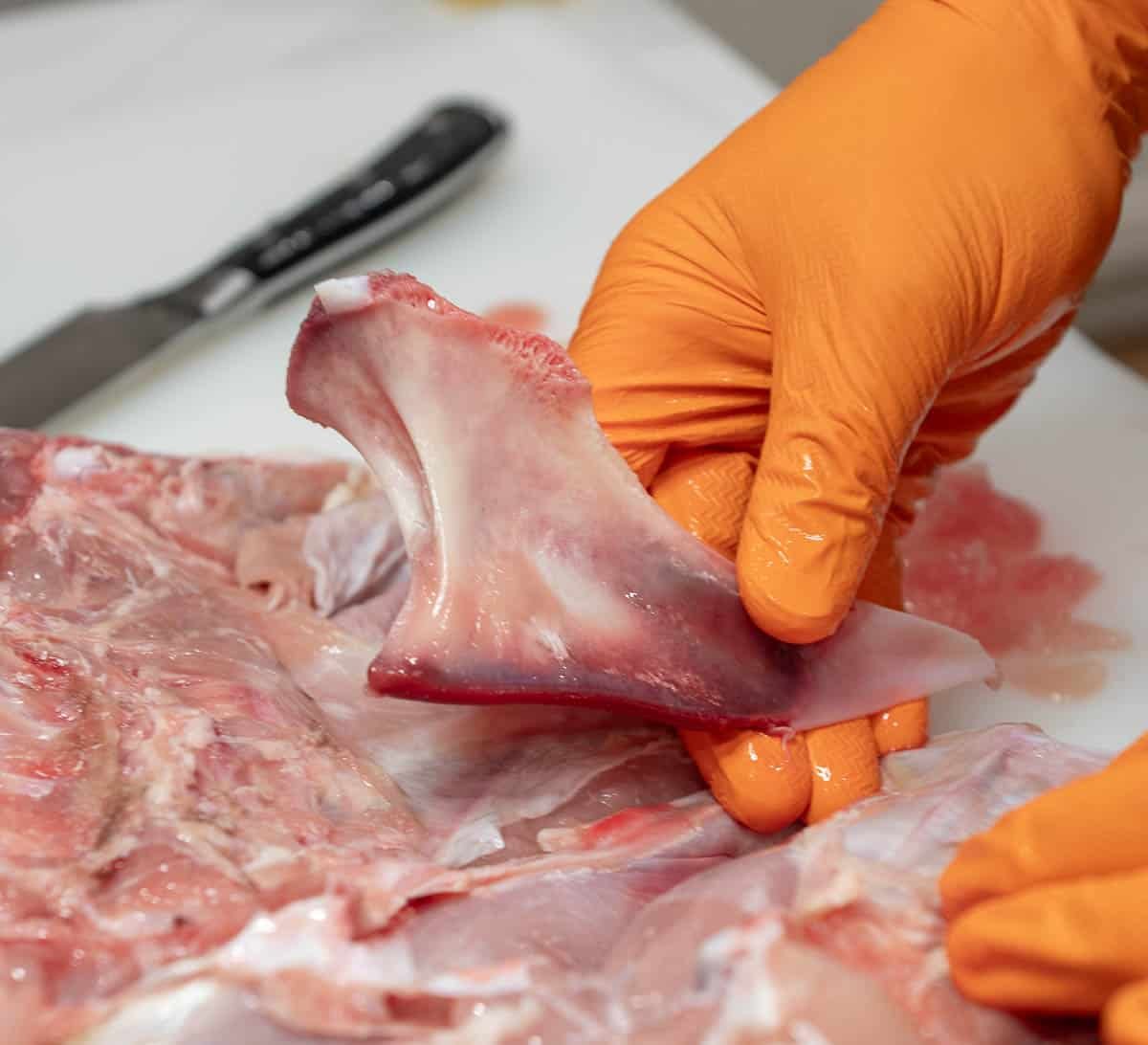 Photo of a gloved hand lifting out the breast bone.