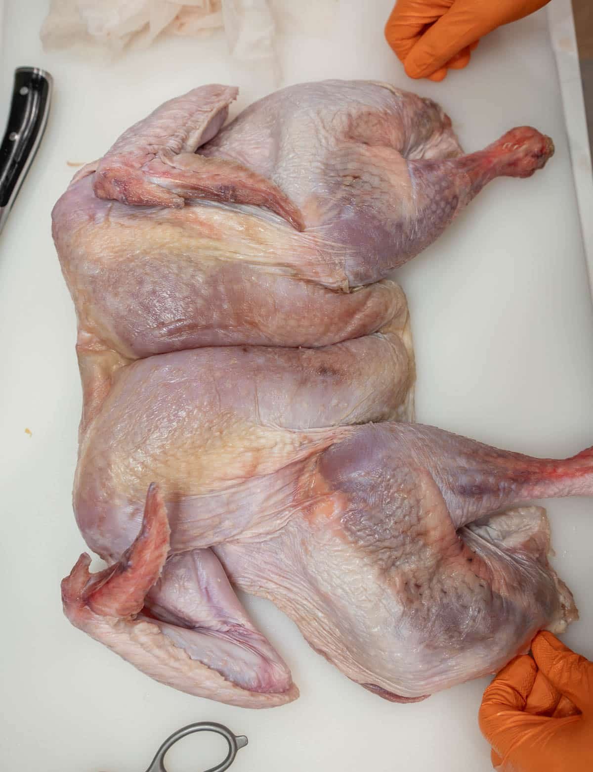 Raw turkey is fully spatchcocked and lying on the cutting board breast-side up. 