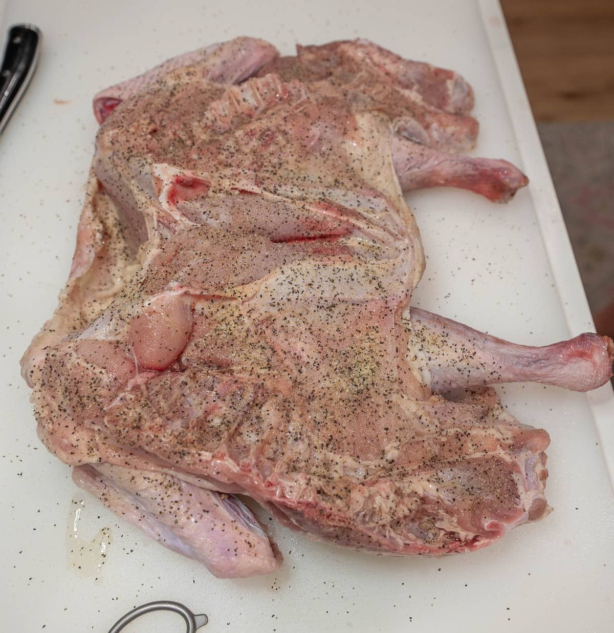 A raw, whole spatchcocked turkey is lying breast-side down. Seasoning is added to the inside. 