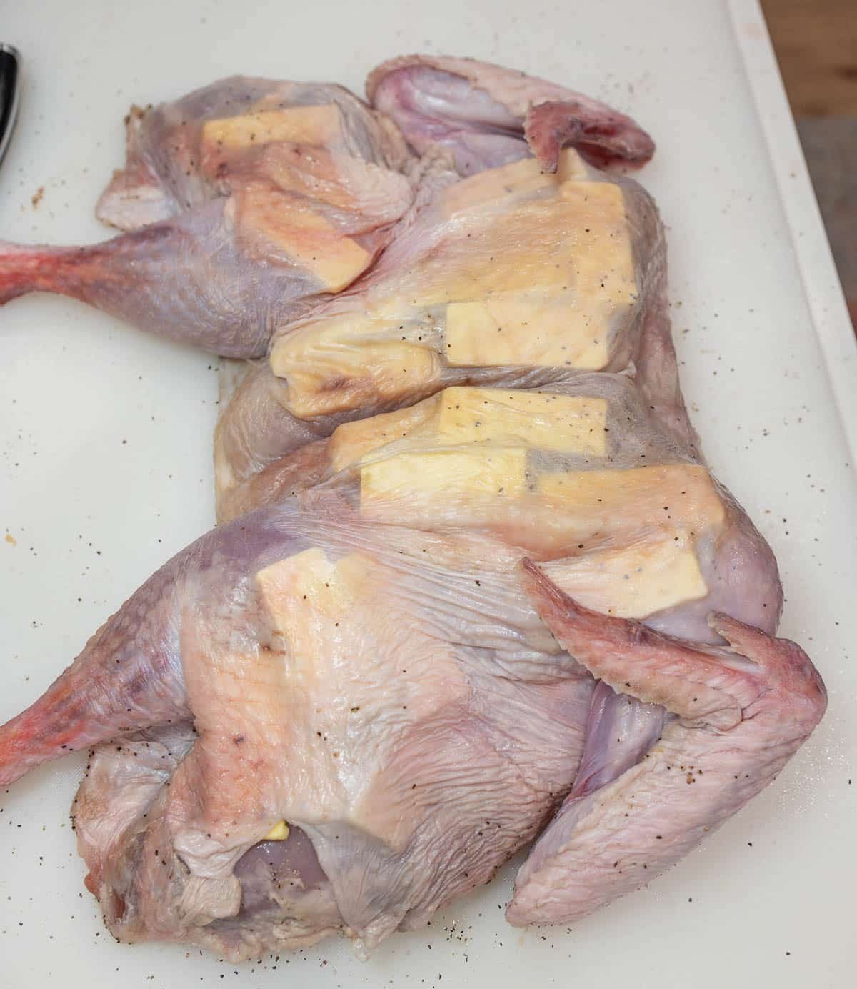 The turkey is lying breast-side up with the slices of cold butter underneath the skin. 