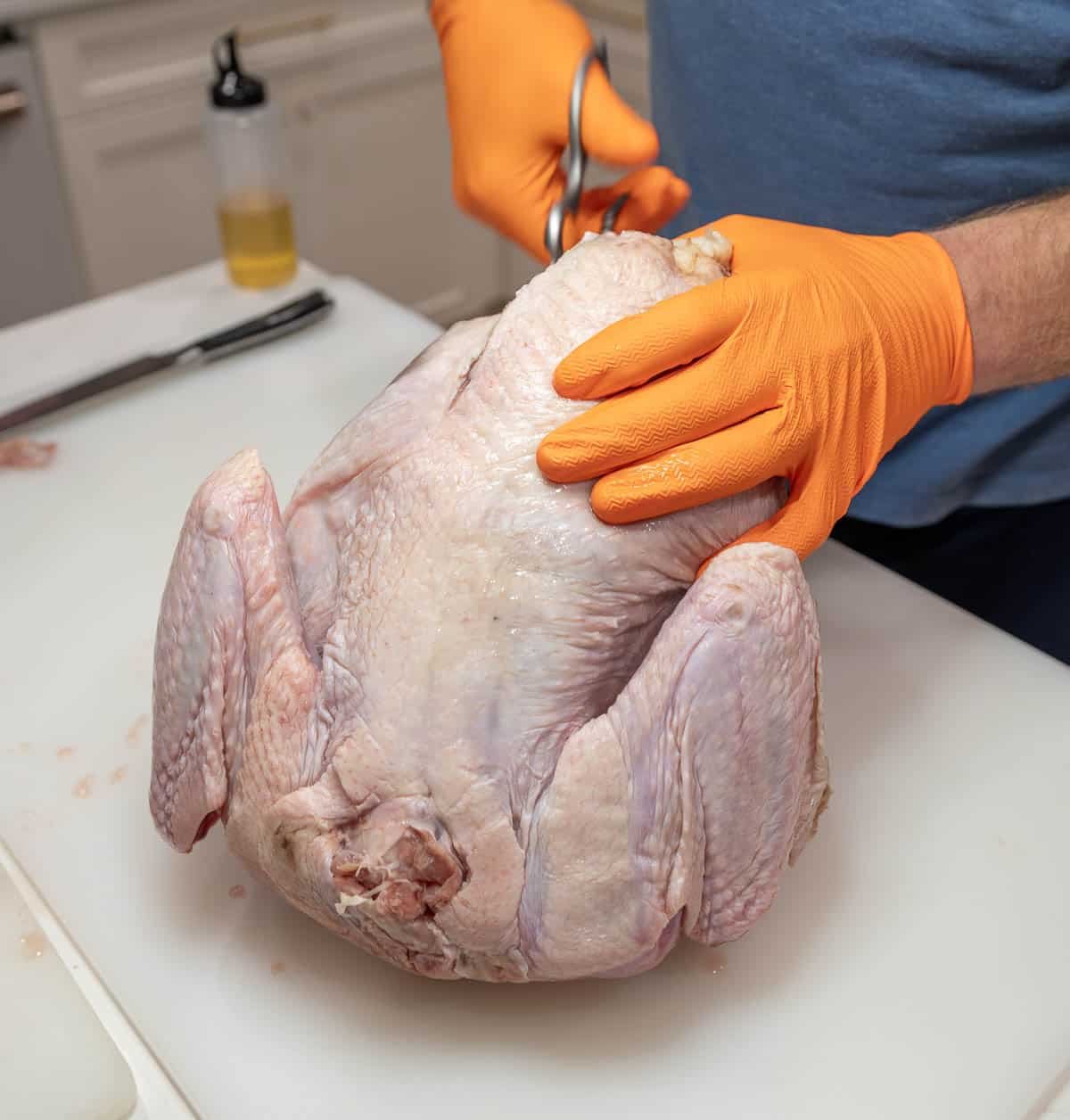 A raw turkey being cut with scissors. 