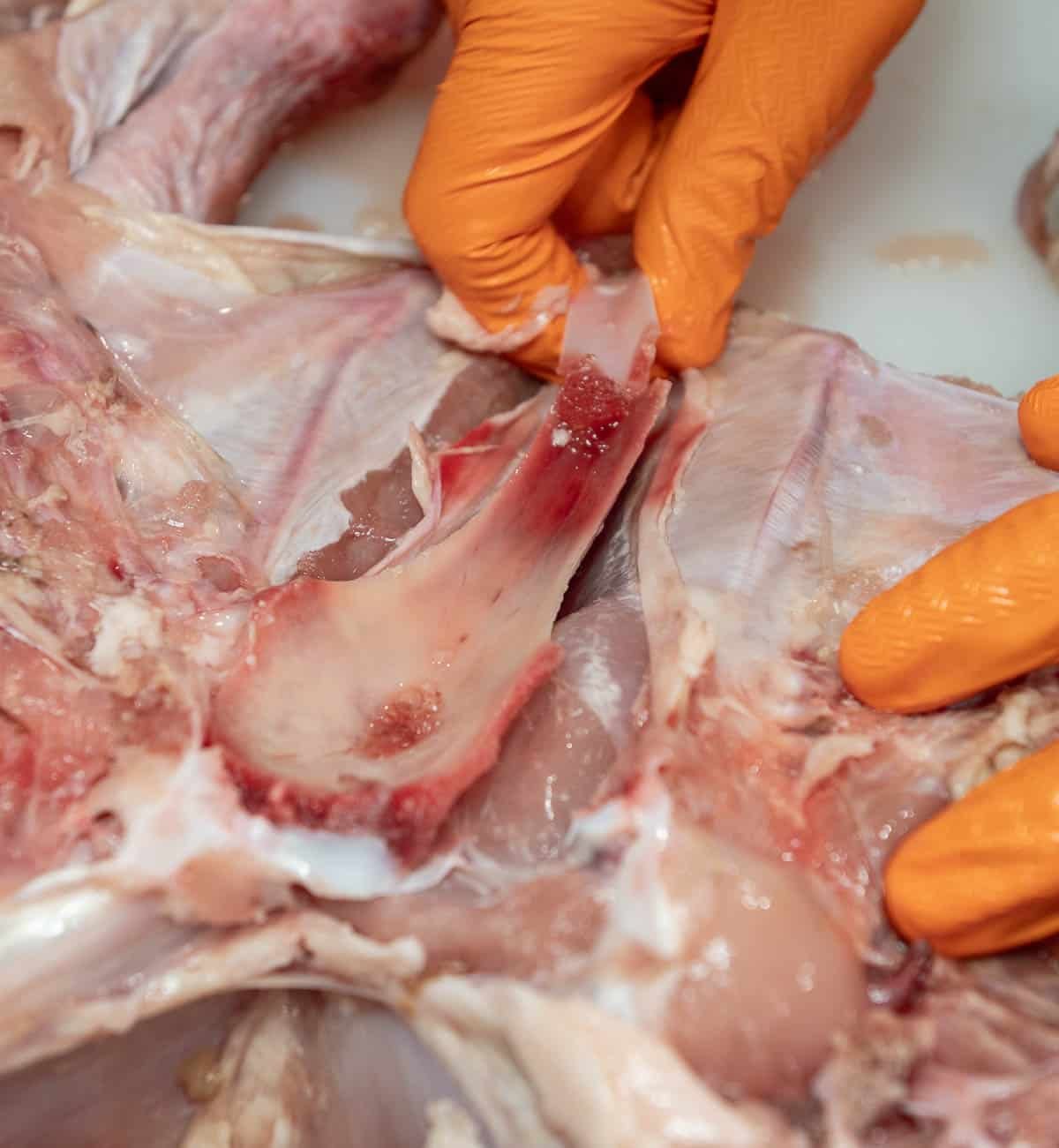 Photo of gloved fingers sliding along each side of the breastbone to loosen it from the meat.