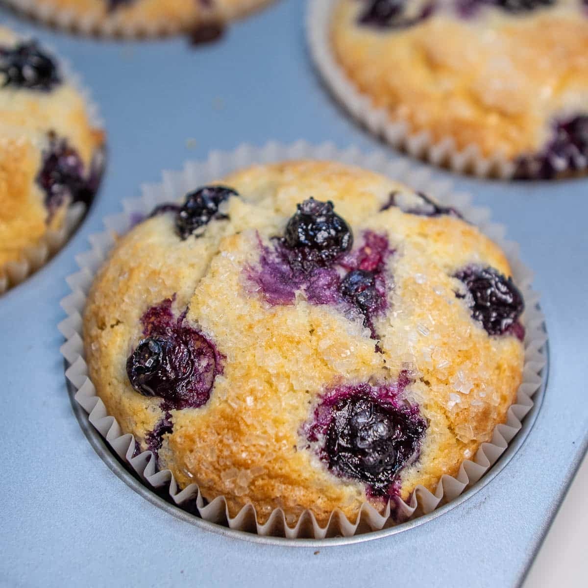 Closeup of baked sourdough discard blueberry muffins in a cupcake tin.