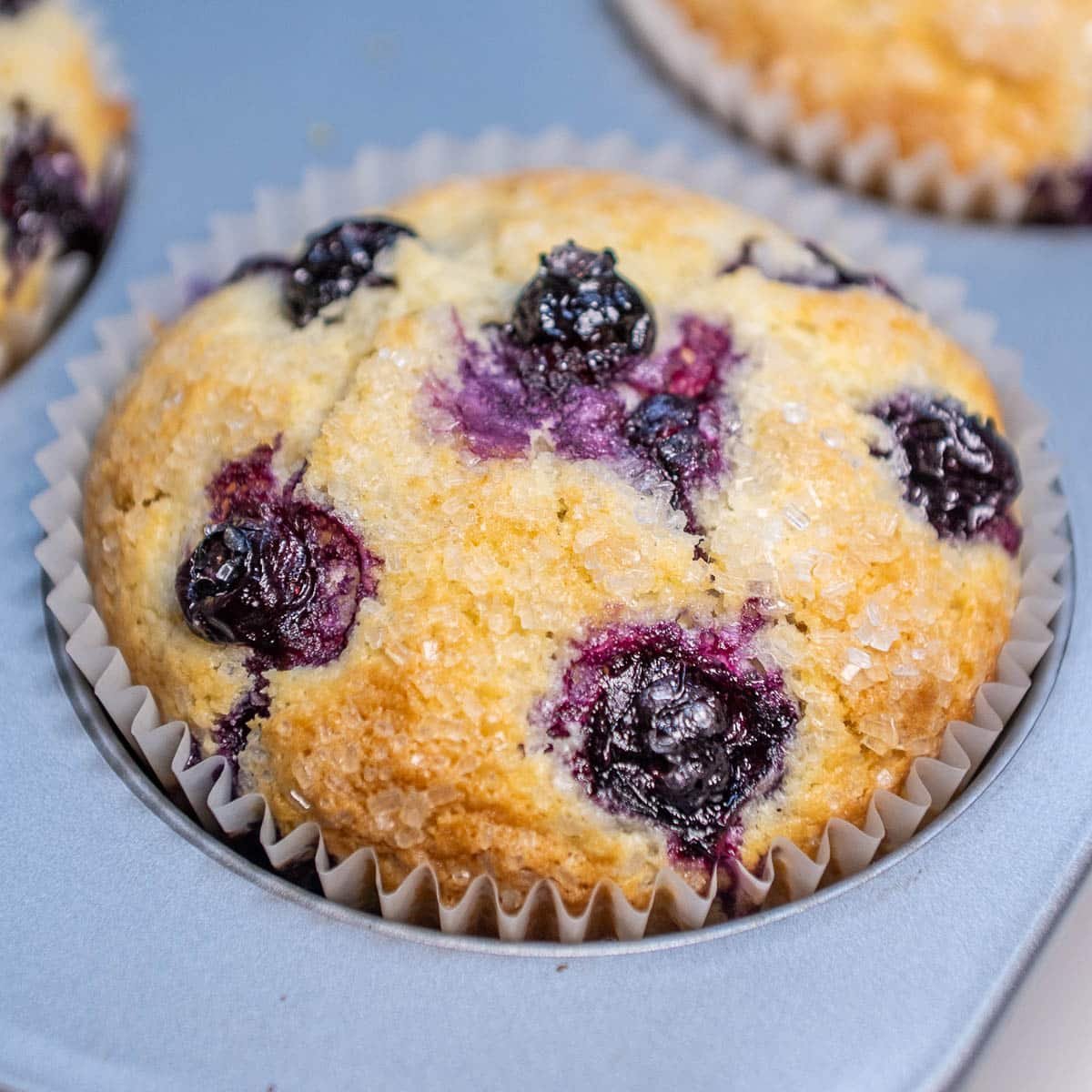 The finished product: Sourdough Discard Blueberries, baked until golden brown with a sprinkle of sugar on top.
