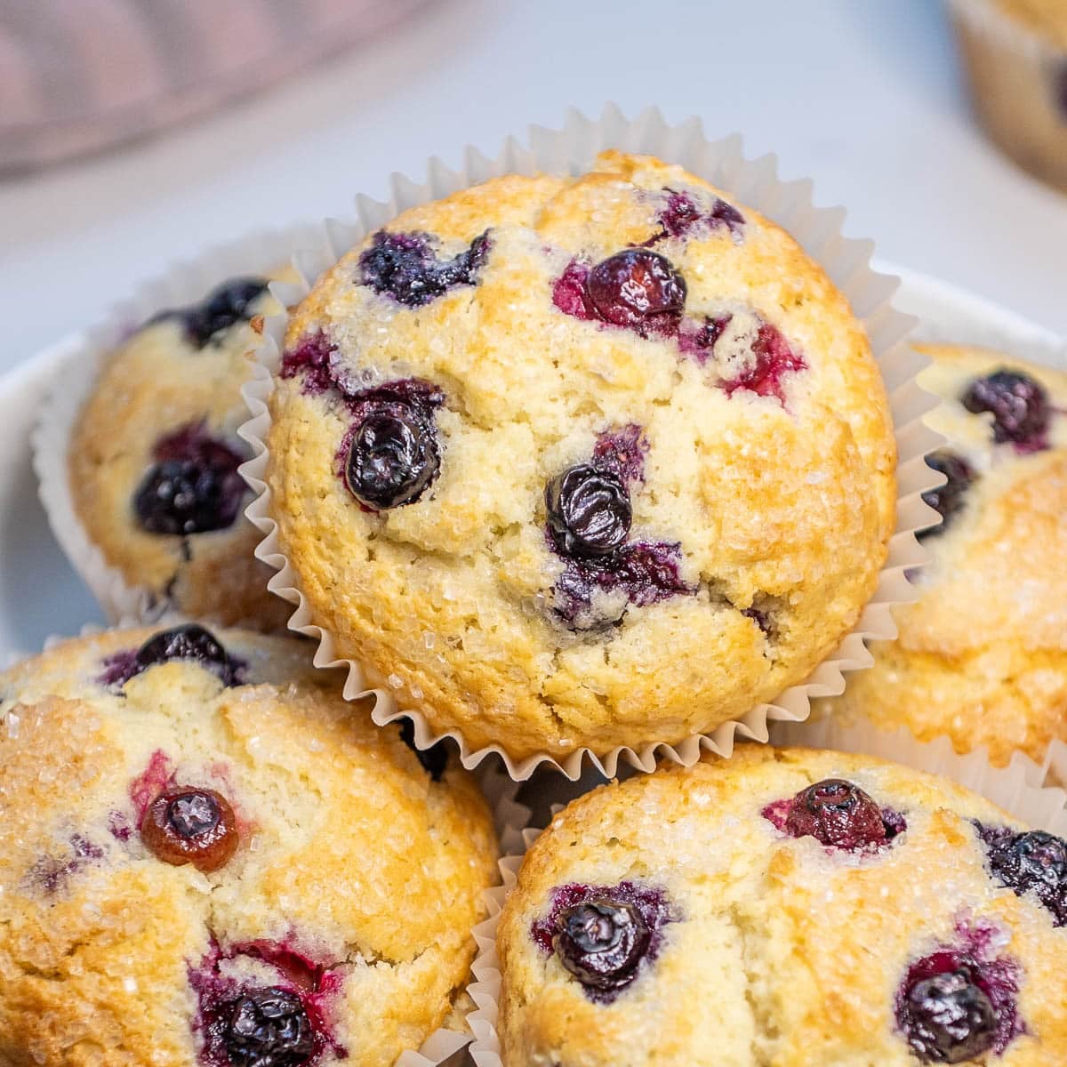 Closeup of sourdough discard blueberry muffins on a plate.